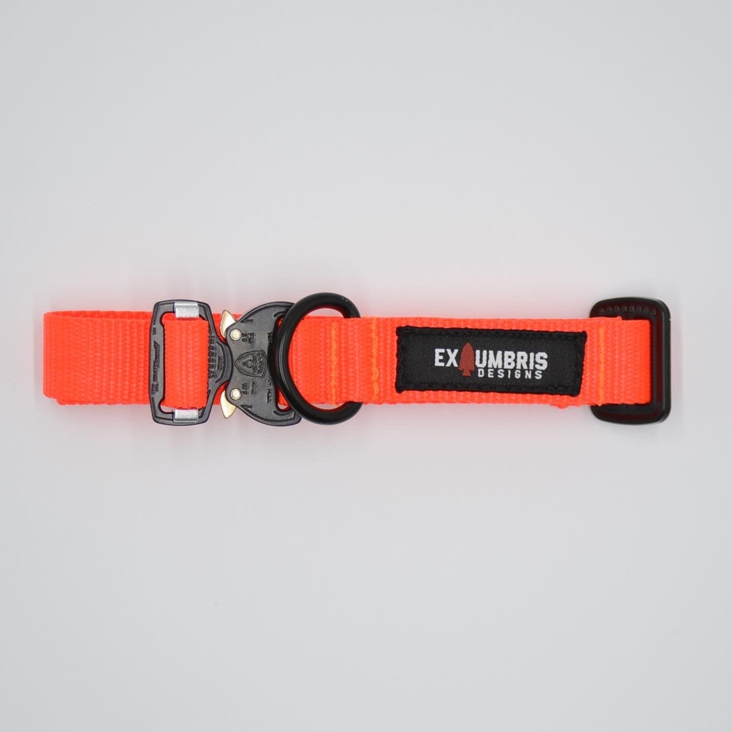 Cobra Buckle Dog Collar - Lazy Paper Club
