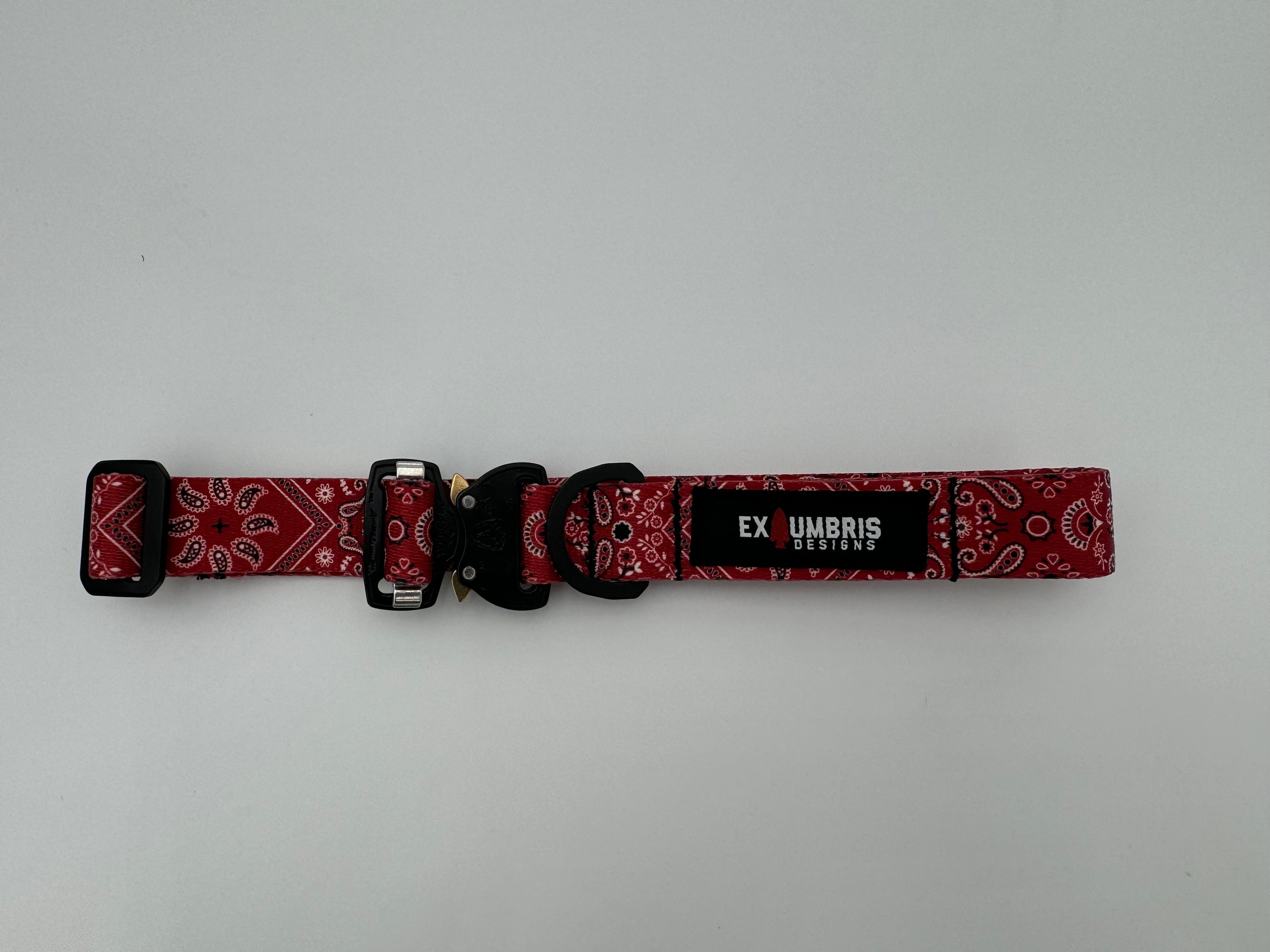 Cobra Buckle Dog Collar - Lazy Paper Club