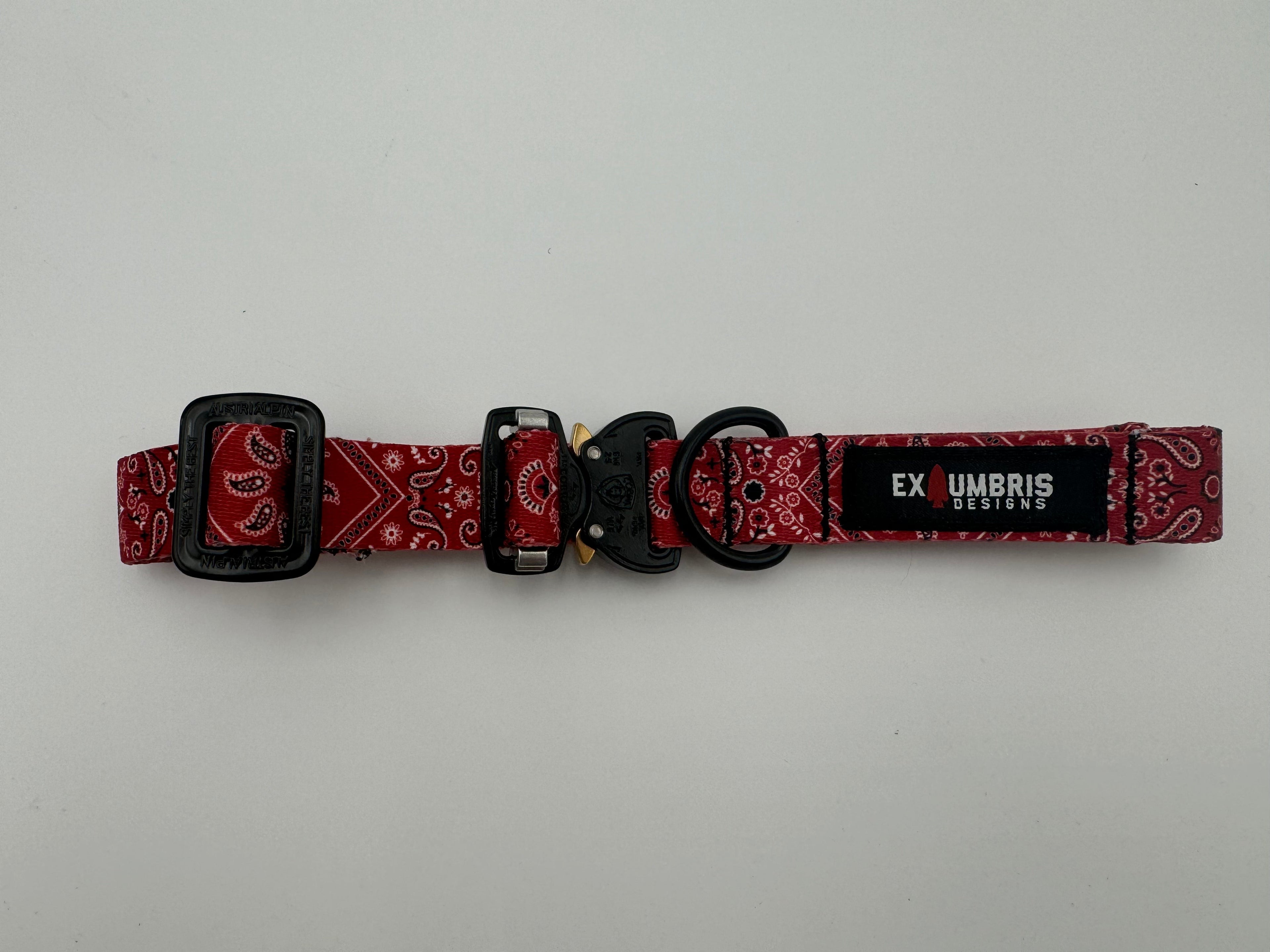 Cobra Buckle Dog Collar - Lazy Paper Club