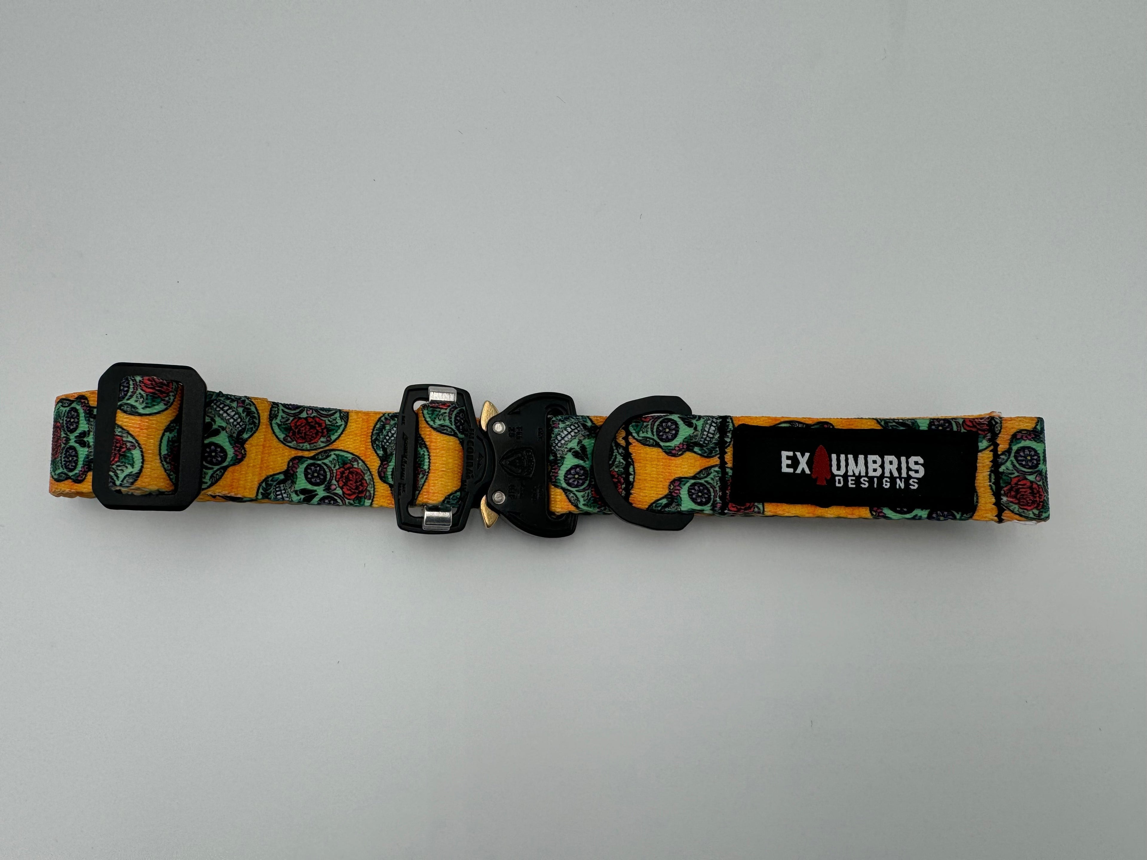 Cobra Buckle Dog Collar - Lazy Paper Club