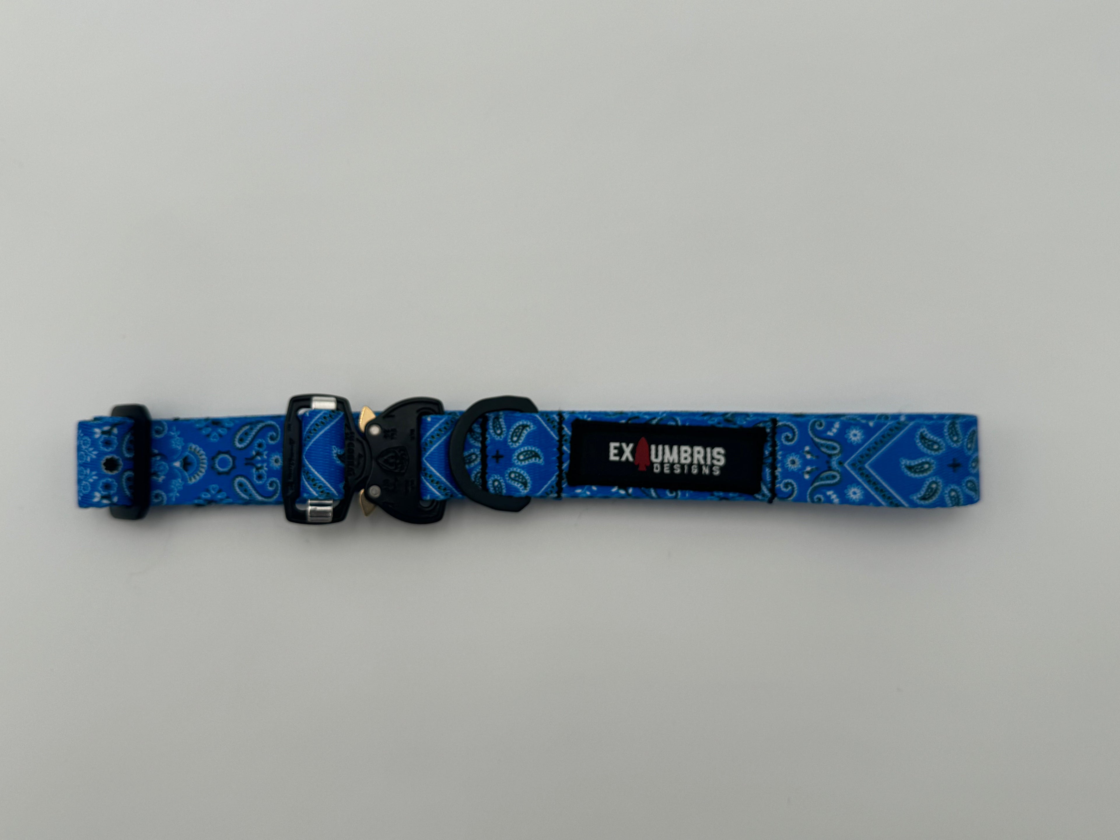 Cobra Buckle Dog Collar - Lazy Paper Club