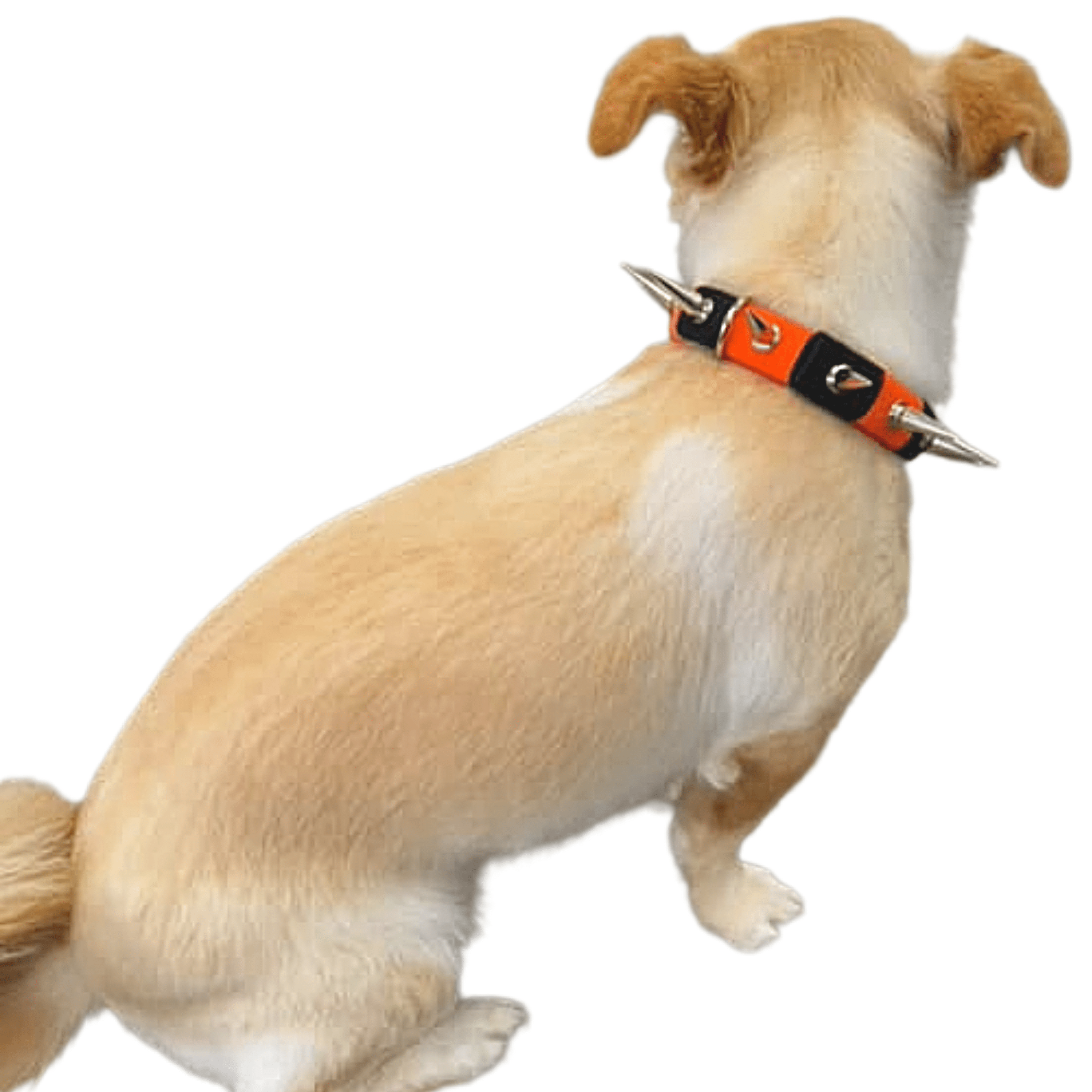 CoyoteCollar Collar - Lazy Paper Club