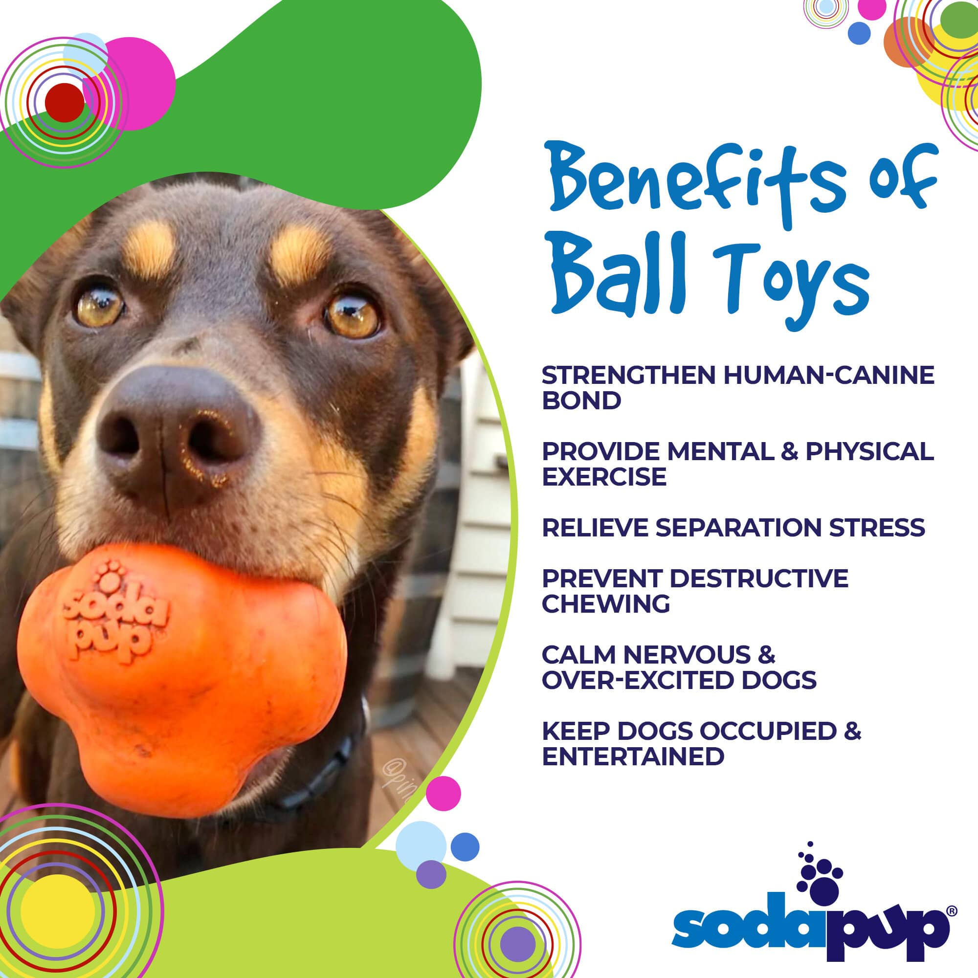 Crazy Bounce Rubber Dog Chew Toy for Power Chewers | Retrieving Ball | USA Made Rubber Dog Toys - Lazy Paper Club
