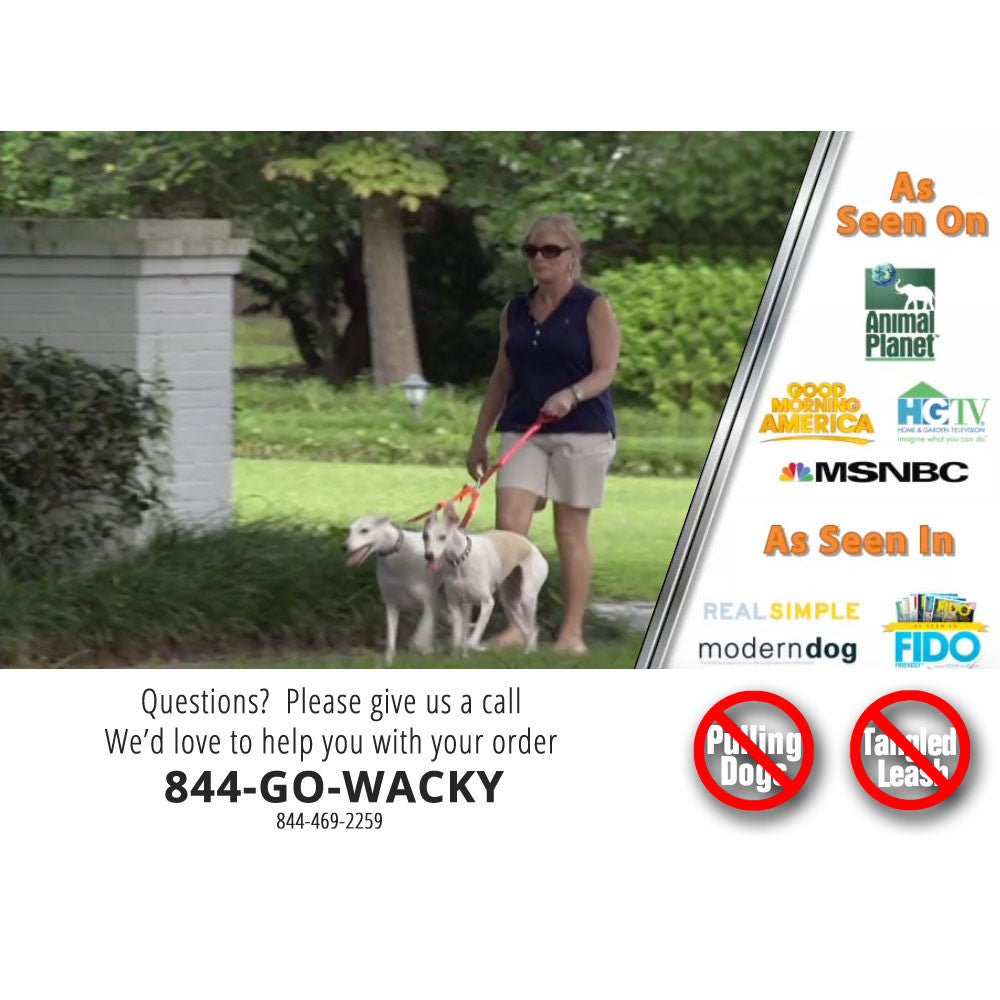 CRAZYcoupl'r - 2 Dogs on 1 Leash - Lazy Paper Club