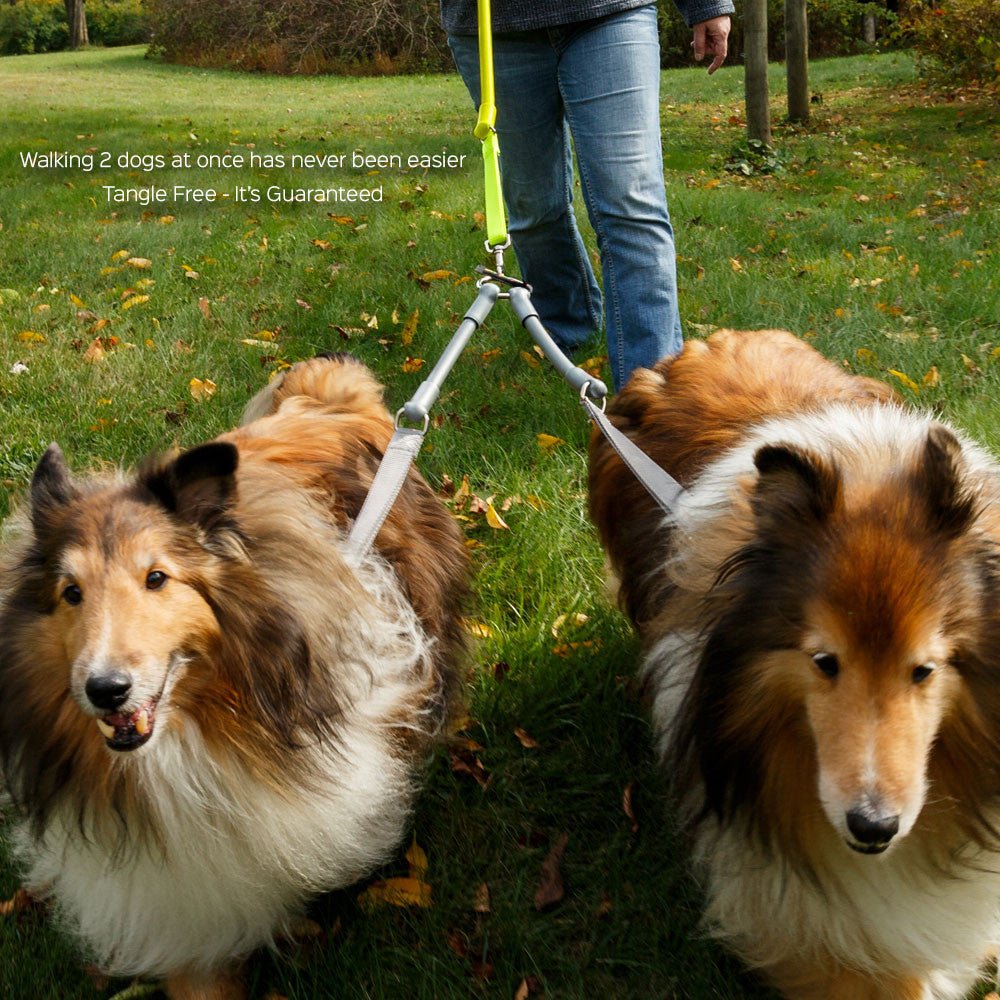 CRAZYcoupl'r - 2 Dogs on 1 Leash - Lazy Paper Club