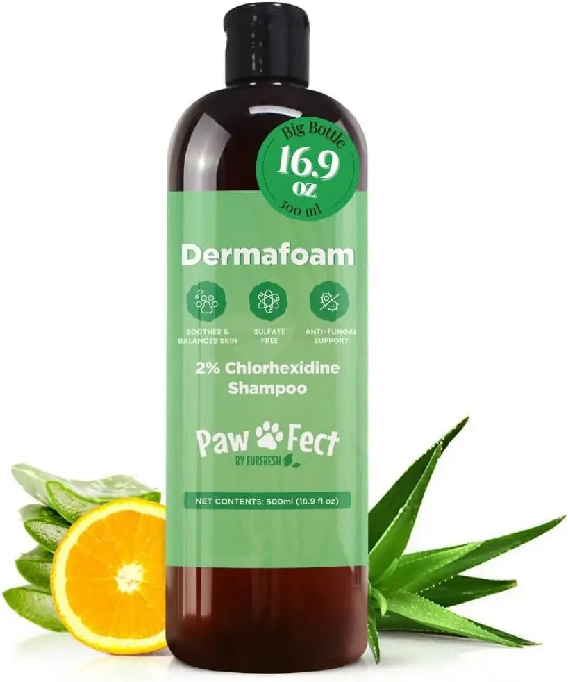 Dermafoam Chlorhexidine Dog Shampoo for Itch Allergies Hot Spots 16.9oz - Lazy Paper Club