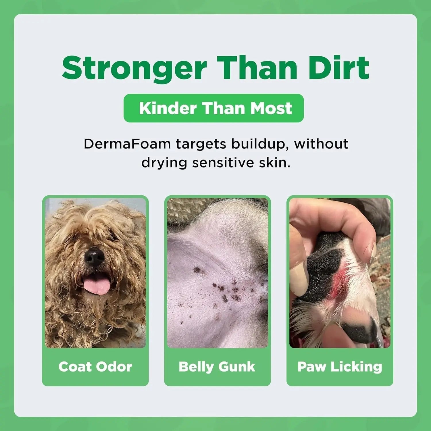 Dermafoam Chlorhexidine Dog Shampoo for Itch Allergies Hot Spots 16.9oz - Lazy Paper Club