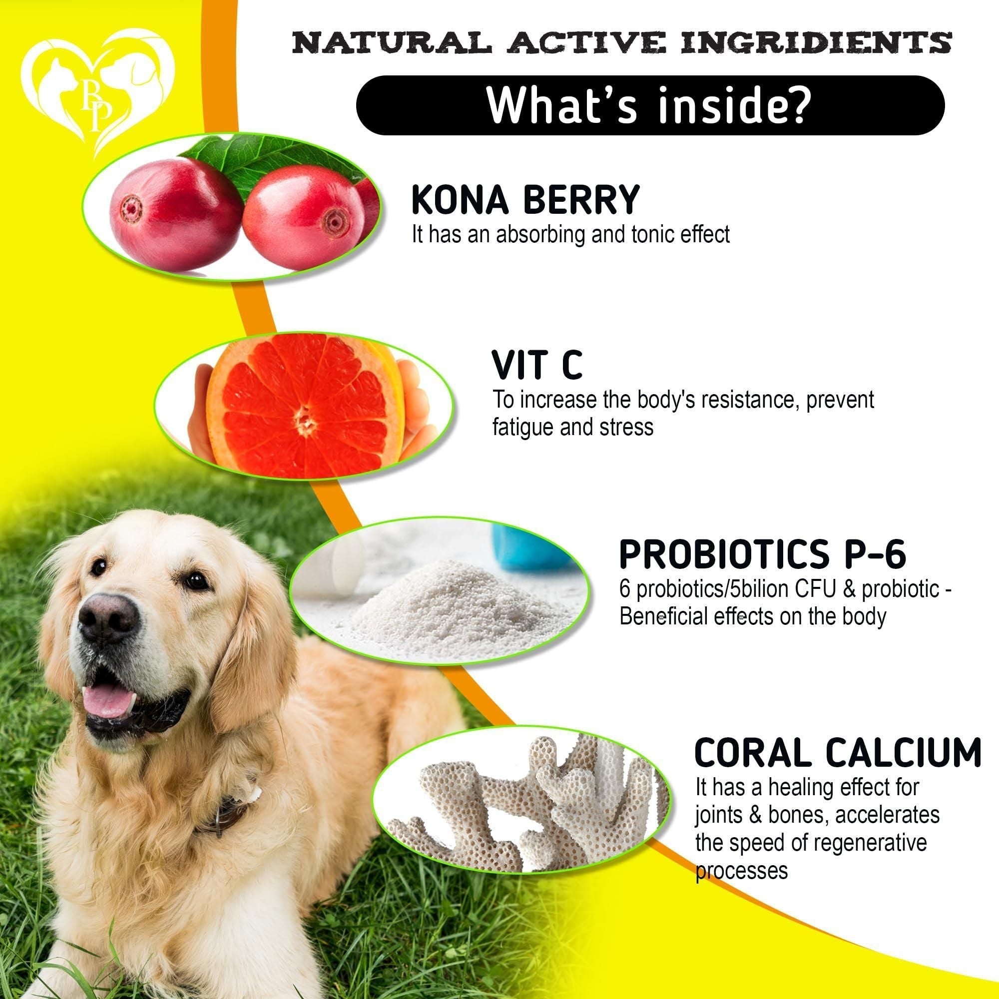 Dog Anti Itch Allergy Relief Chews Dry Itchy Skin Hot Spot Treatment with Probiotic Omega 3 Oil Immune Supplement Seasonal Allergies Medicine for Dogs Puppy 140 Bites - Lazy Paper Club