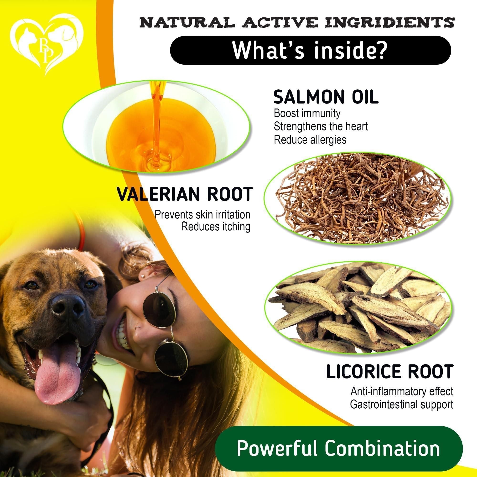 Dog Anti Itch Allergy Relief Chews Dry Itchy Skin Hot Spot Treatment with Probiotic Omega 3 Oil Immune Supplement Seasonal Allergies Medicine for Dogs Puppy 140 Bites - Lazy Paper Club