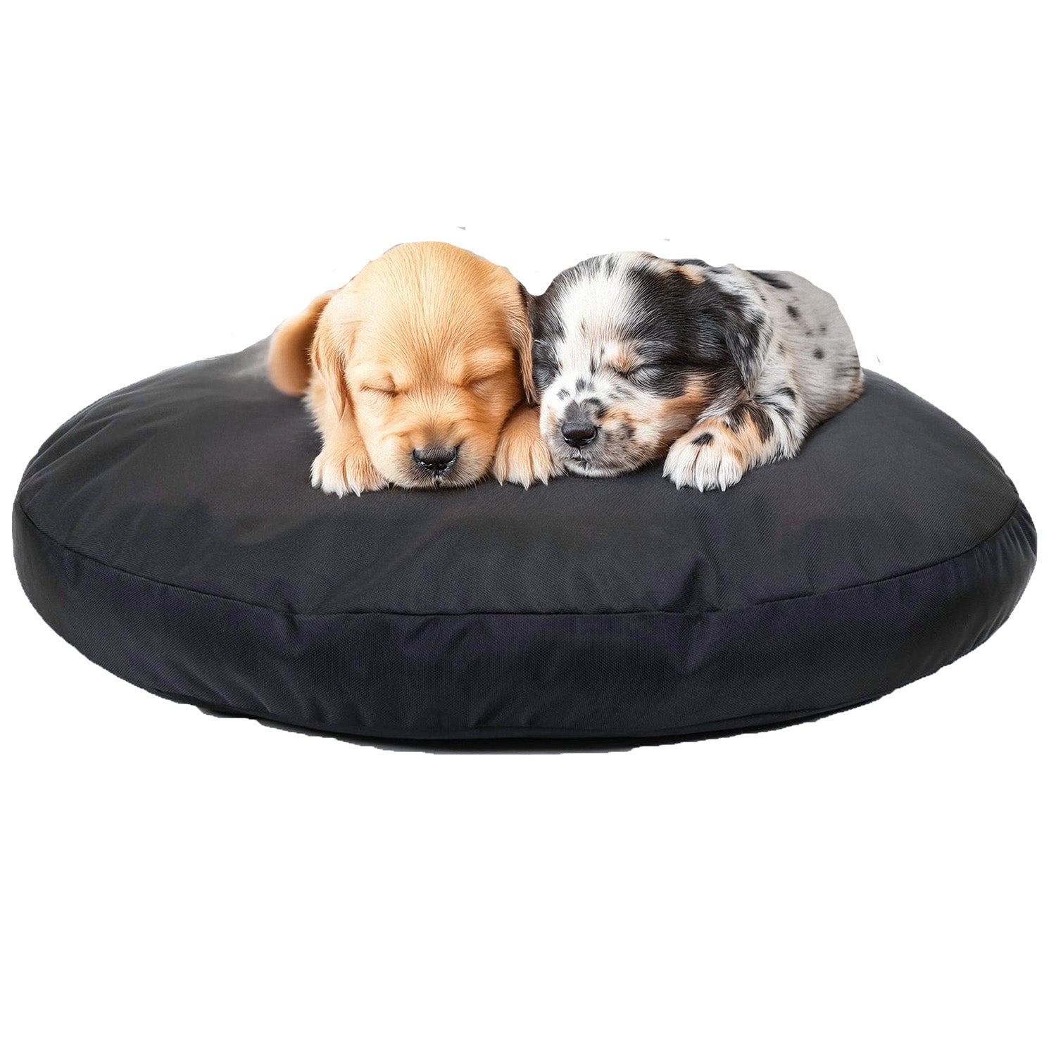 Dog Bed - Round Armor™ Dog Beds - Lazy Paper Club