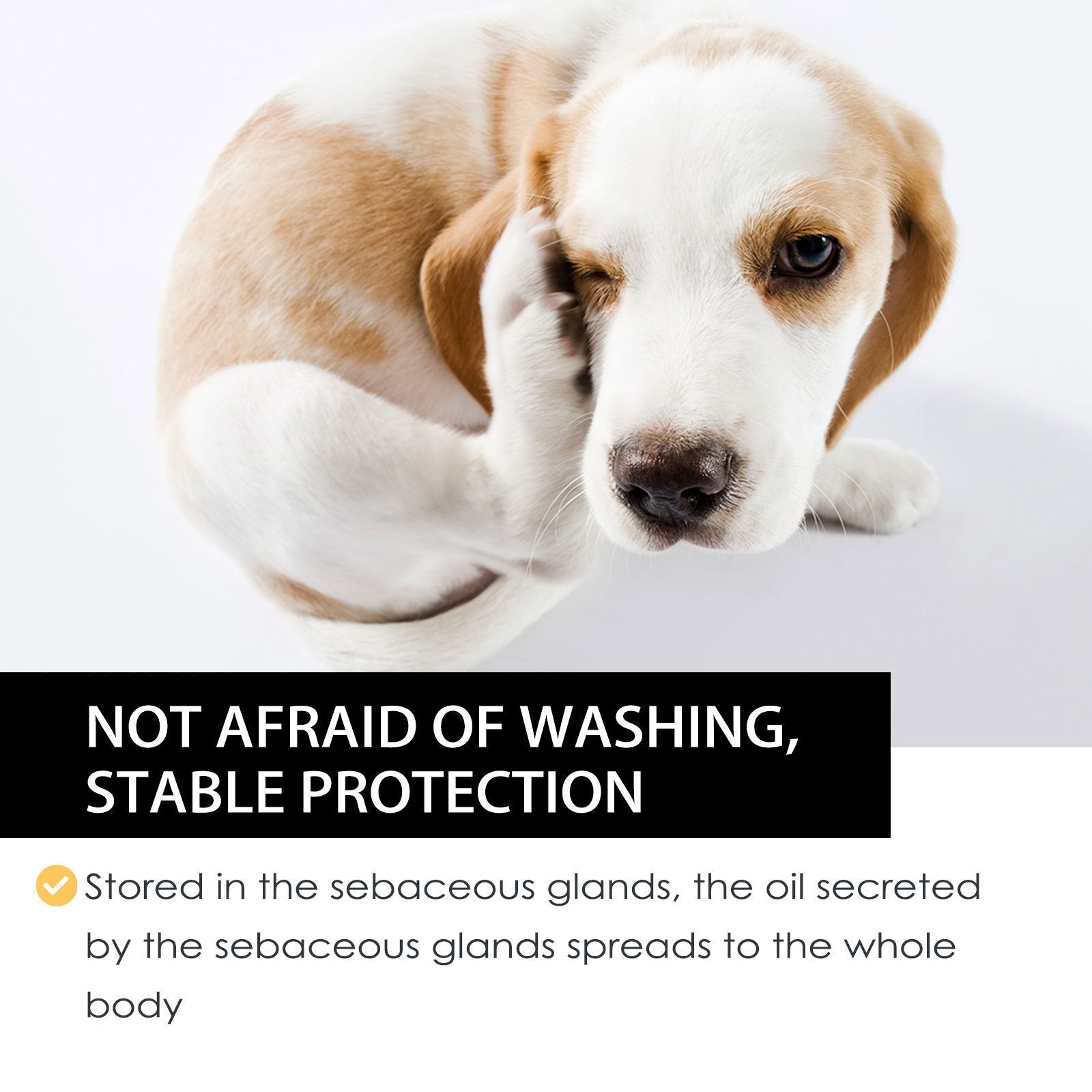 Dog Cat Drops Spray Cleaning Remove Lice Tick Flea 0 - Lazy Paper Club