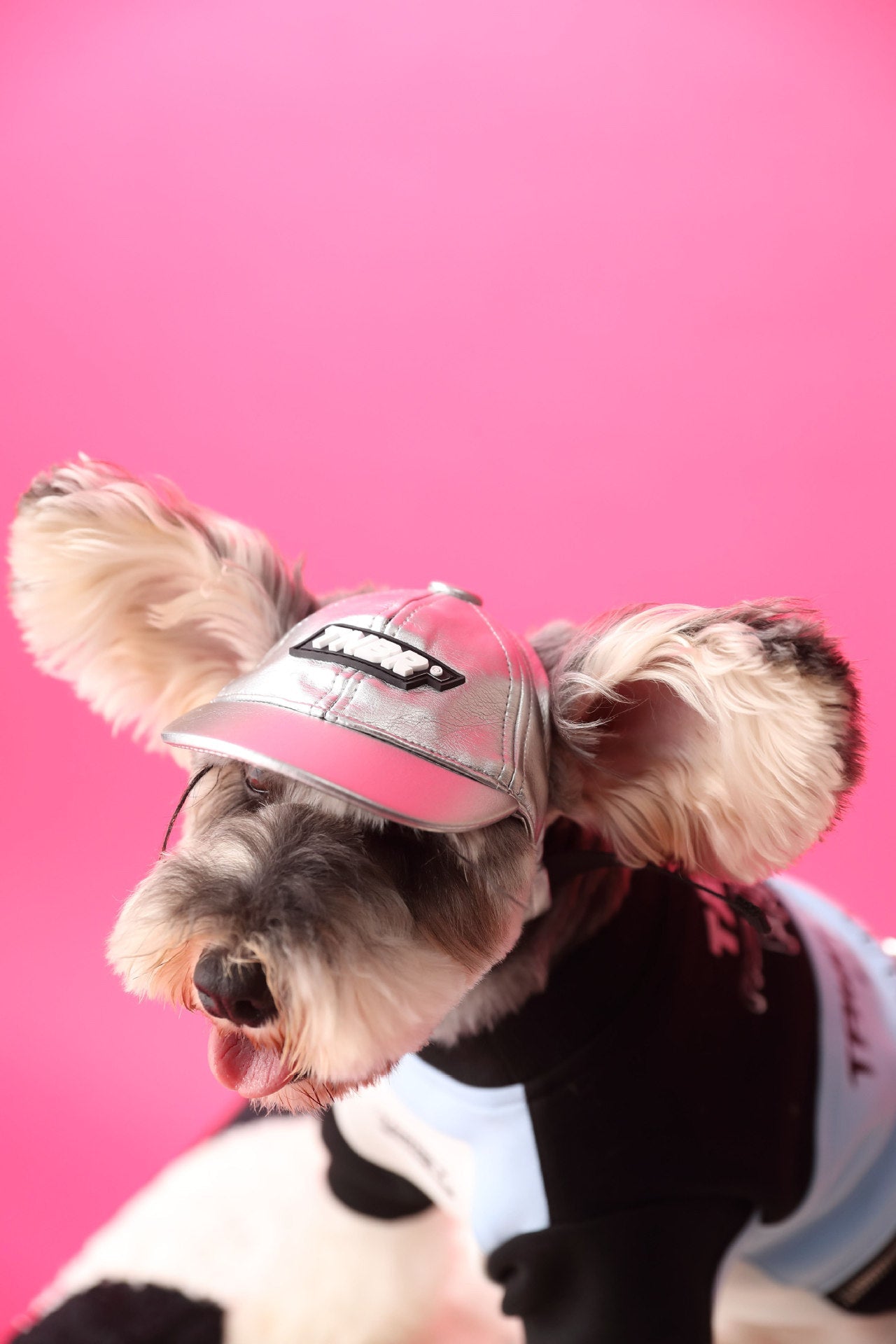 Dog Clothes Stitching Zipper Pullover Sweater 0 - Lazy Paper Club