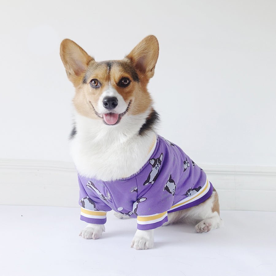 Dog clothes winter 0 - Lazy Paper Club