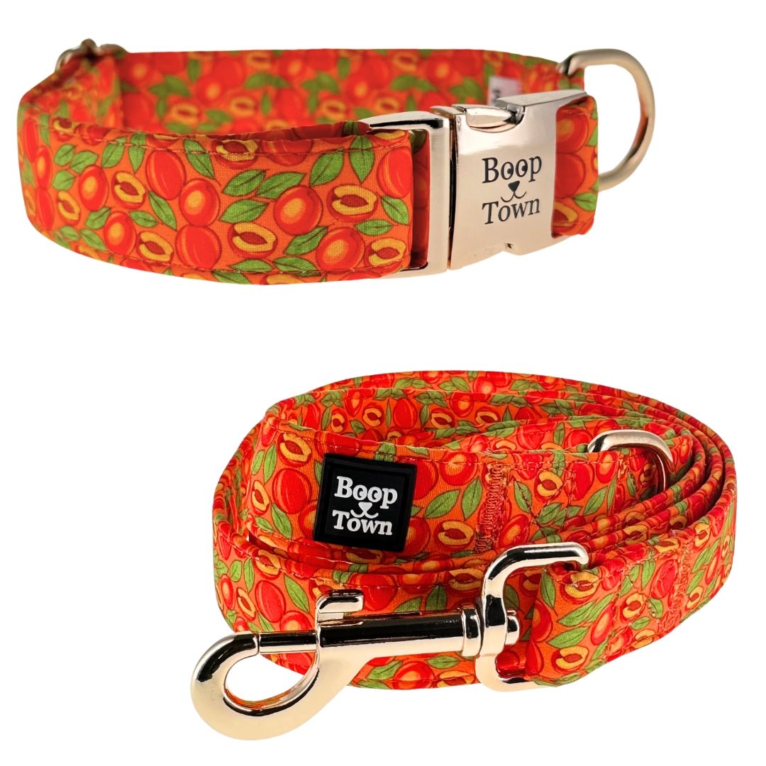 Dog Collar & Leash Sets - Lazy Paper Club