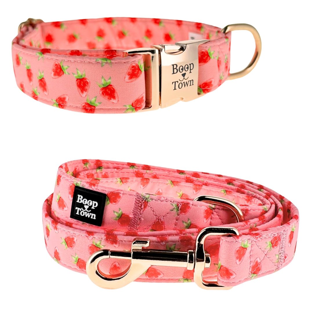 Dog Collar & Leash Sets - Lazy Paper Club
