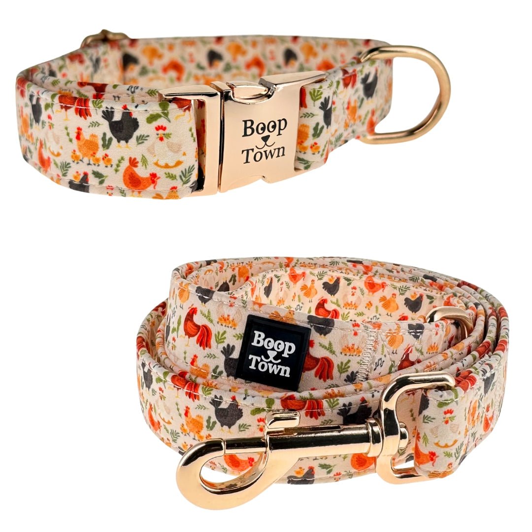 Dog Collar & Leash Sets - Lazy Paper Club