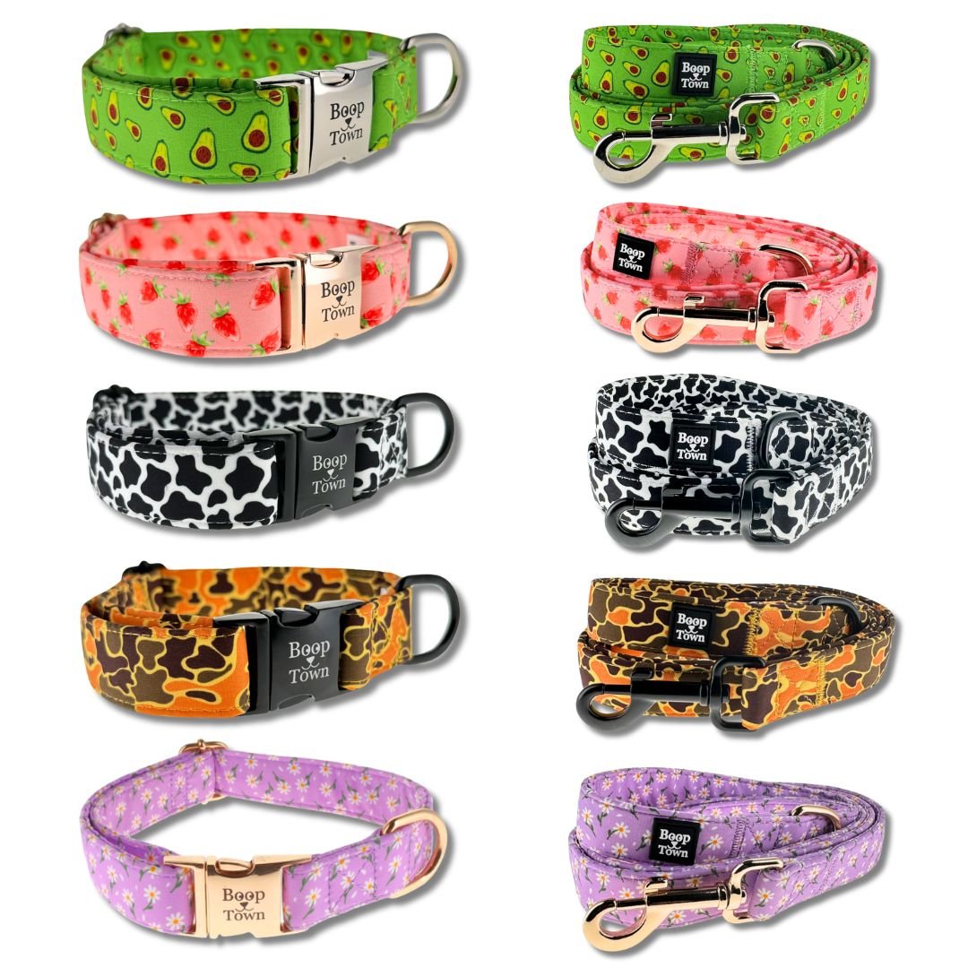 Dog Collar & Leash Sets - Lazy Paper Club