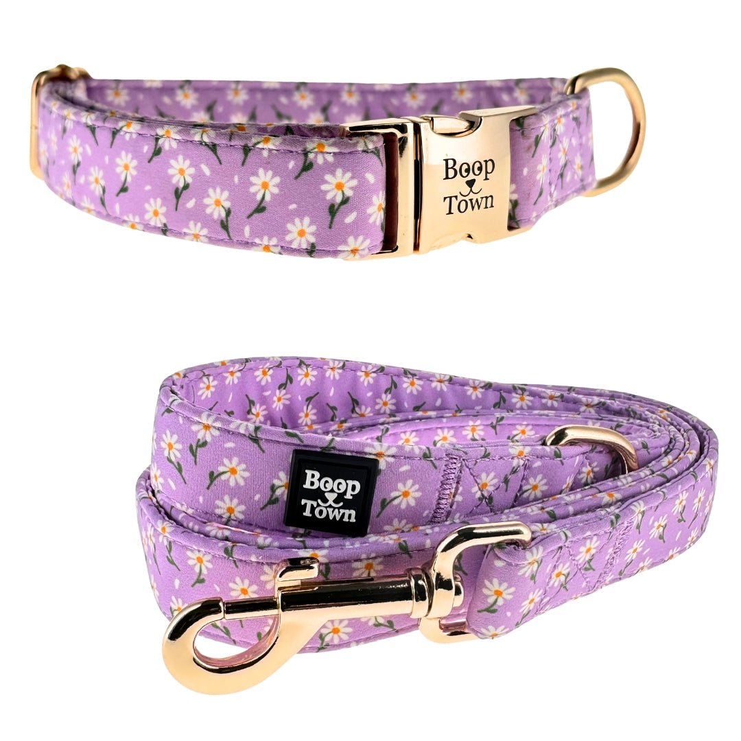 Dog Collar & Leash Sets - Lazy Paper Club