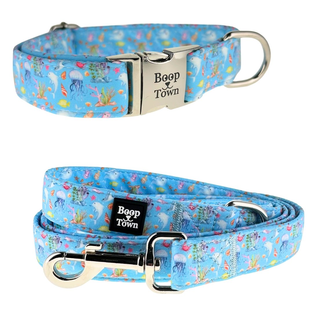 Dog Collar & Leash Sets - Lazy Paper Club