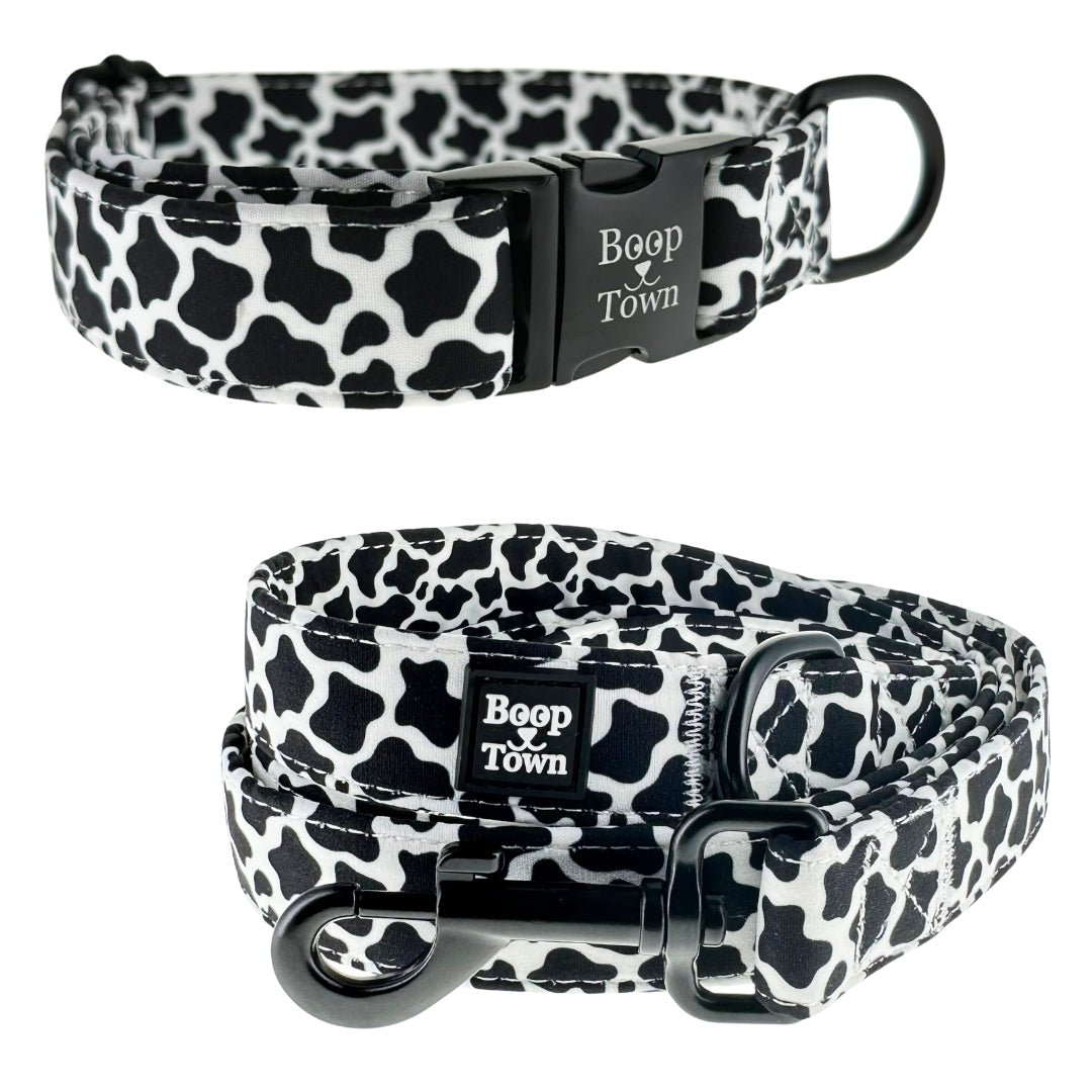 Dog Collar & Leash Sets - Lazy Paper Club