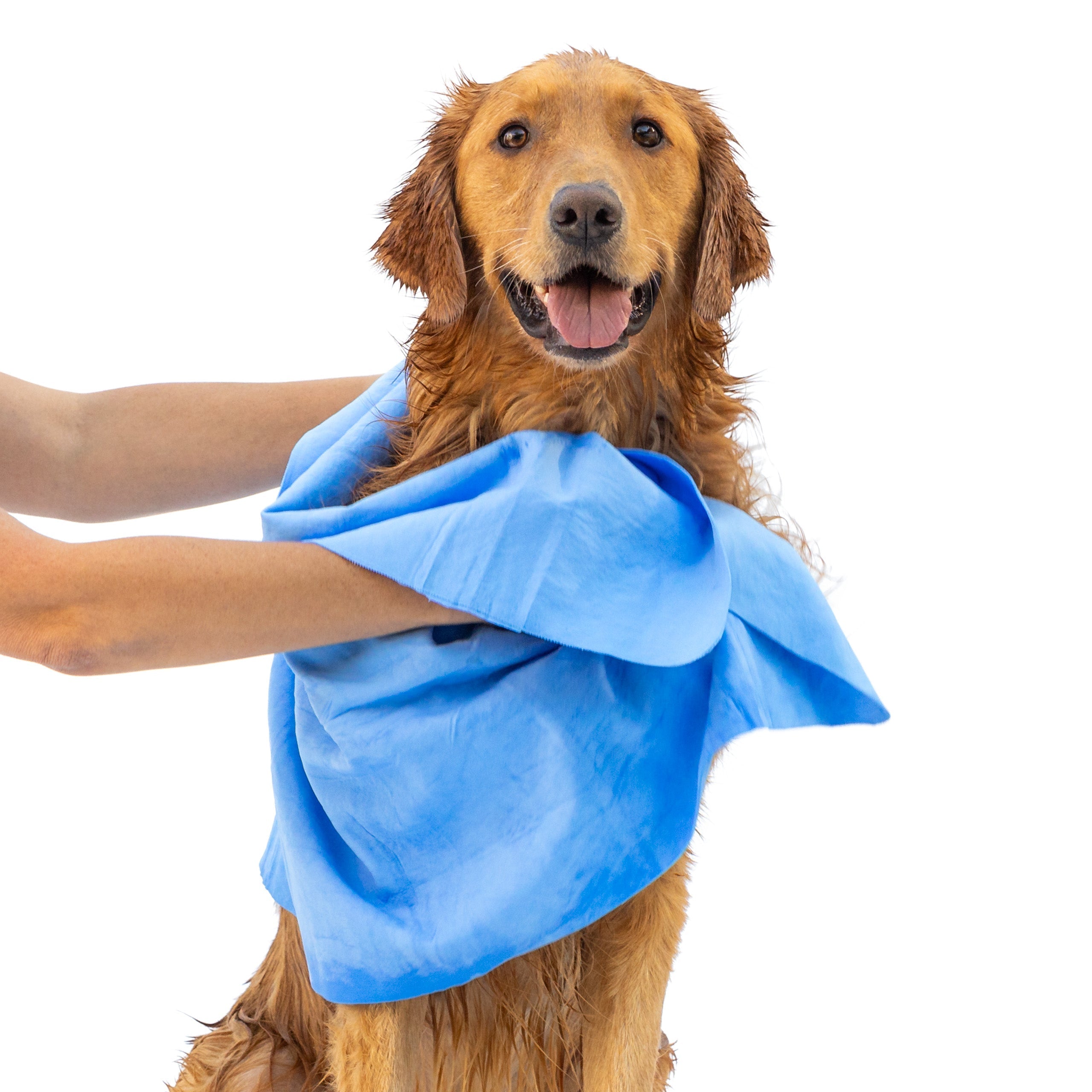 Dog Drying Shammy Towel Dog Bathing Towel - Lazy Paper Club