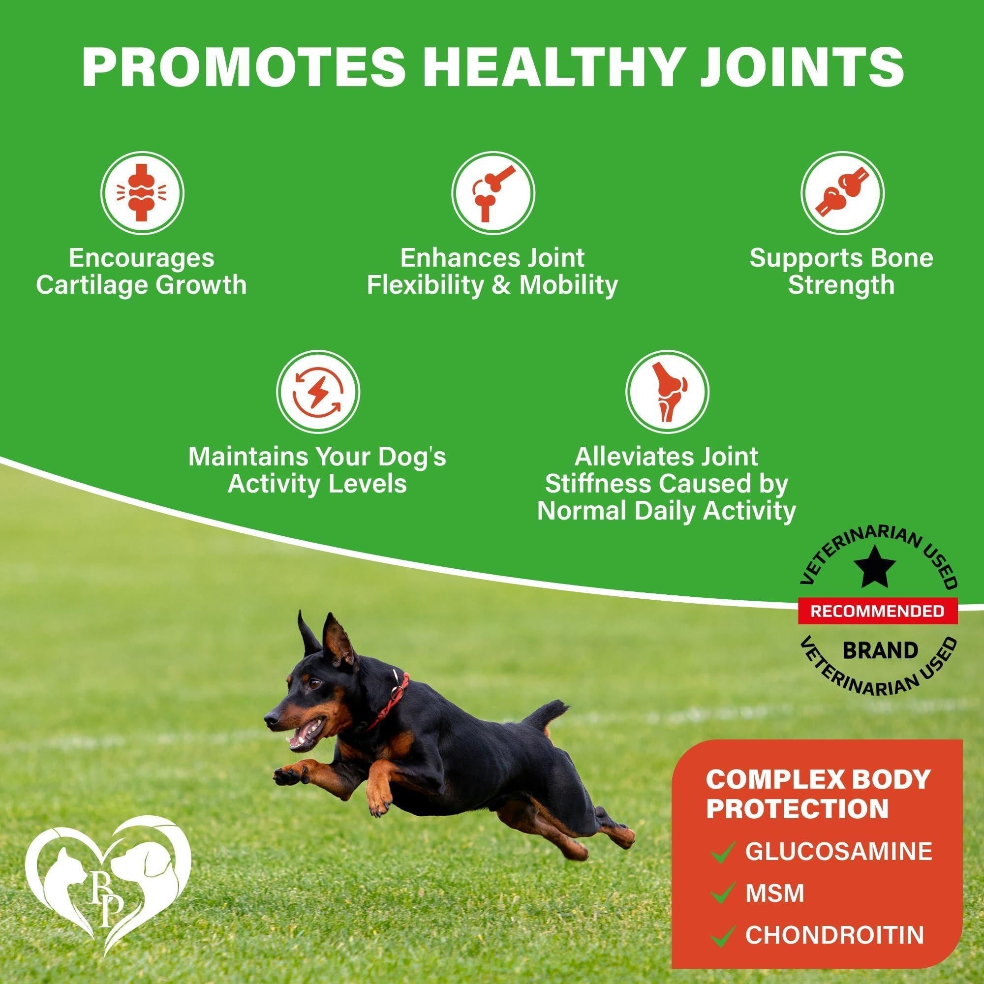 Dog Hip and Joint Supplement & Arthritis Pain Relief Treats Glucosamine Chondroitin MSM Soft Chews for Senior Dogs Natural Medicine & Support Mobility Turmeric Vitamins for Dysplasia USA Pet Hip & Joint Care & Dogs - Lazy Paper Club