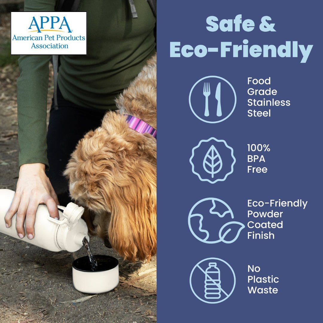 Dog + Human Water Bottle with Detachable Dog Bowl Water Bottle - Lazy Paper Club