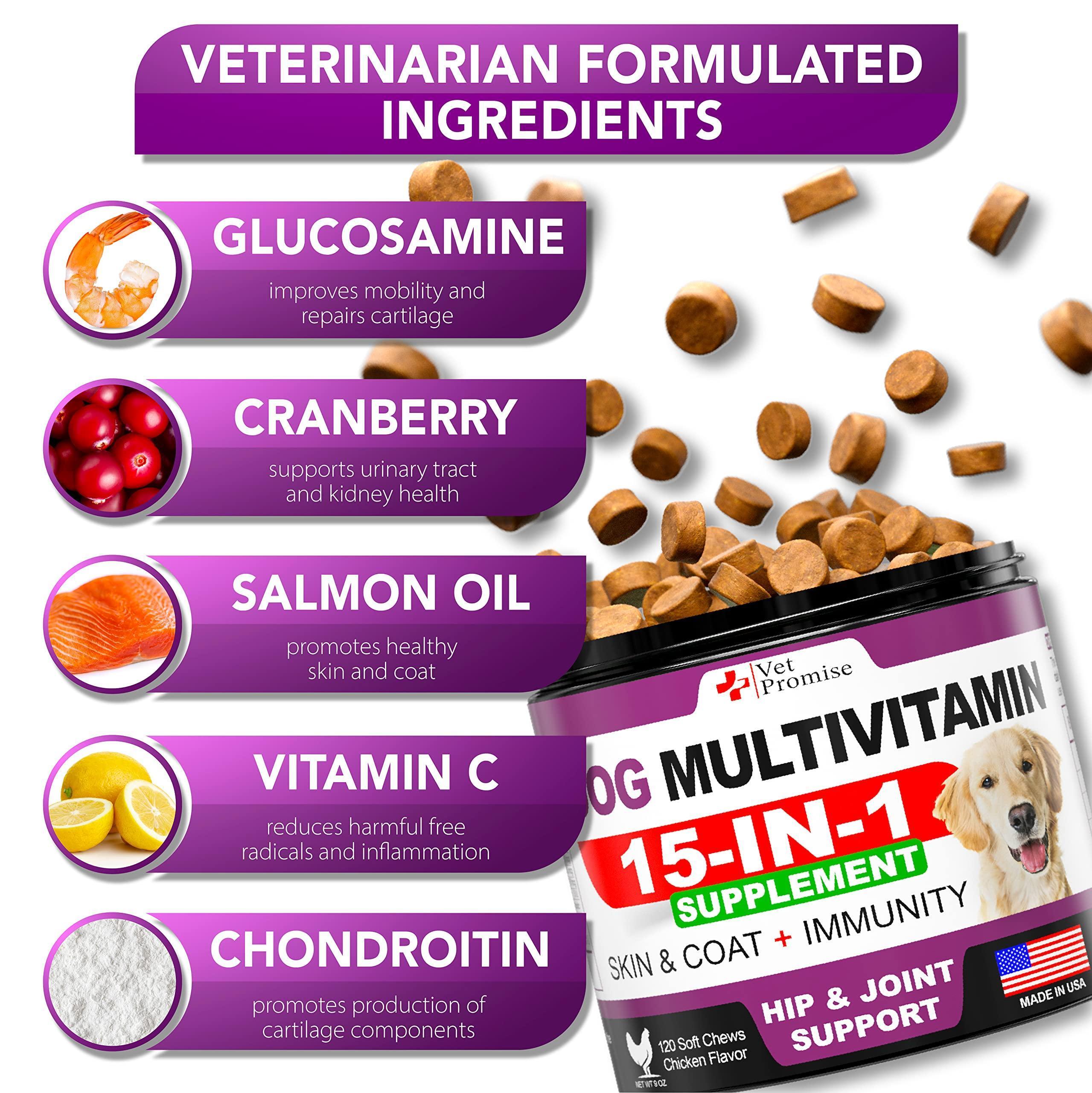 Dog Multivitamin Chewable with Glucosamine Dog Vitamins and Supplements Senior & Puppy Multivitamin for Dogs Pet Joint Support Health Immunity Mobility Energy Gut Skin 120 Chews Pet Snack Treats & Dogs - Lazy Paper Club