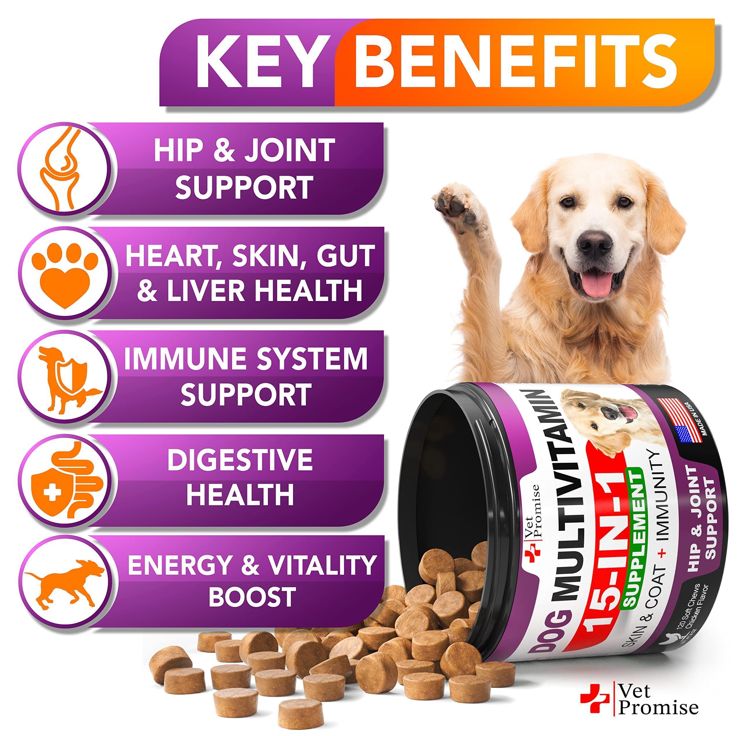 Dog Multivitamin Chewable with Glucosamine Dog Vitamins and Supplements Senior & Puppy Multivitamin for Dogs Pet Joint Support Health Immunity Mobility Energy Gut Skin 120 Chews Pet Snack Treats & Dogs - Lazy Paper Club