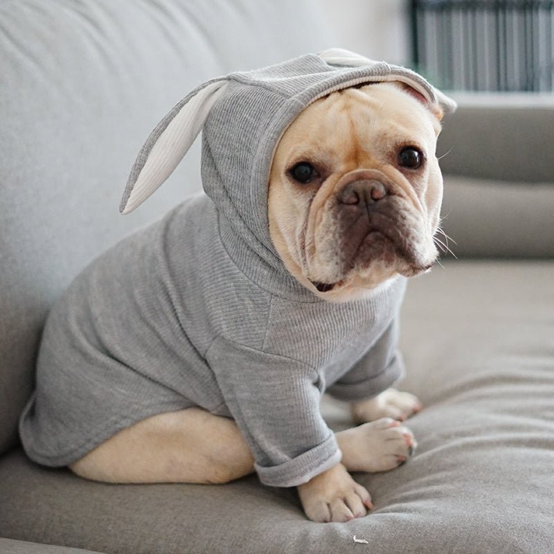 Dog Pet Clothes Spring And Autumn Clothing 0 - Lazy Paper Club