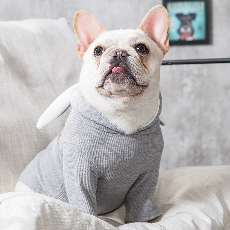 Dog Pet Clothes Spring And Autumn Clothing 0 - Lazy Paper Club