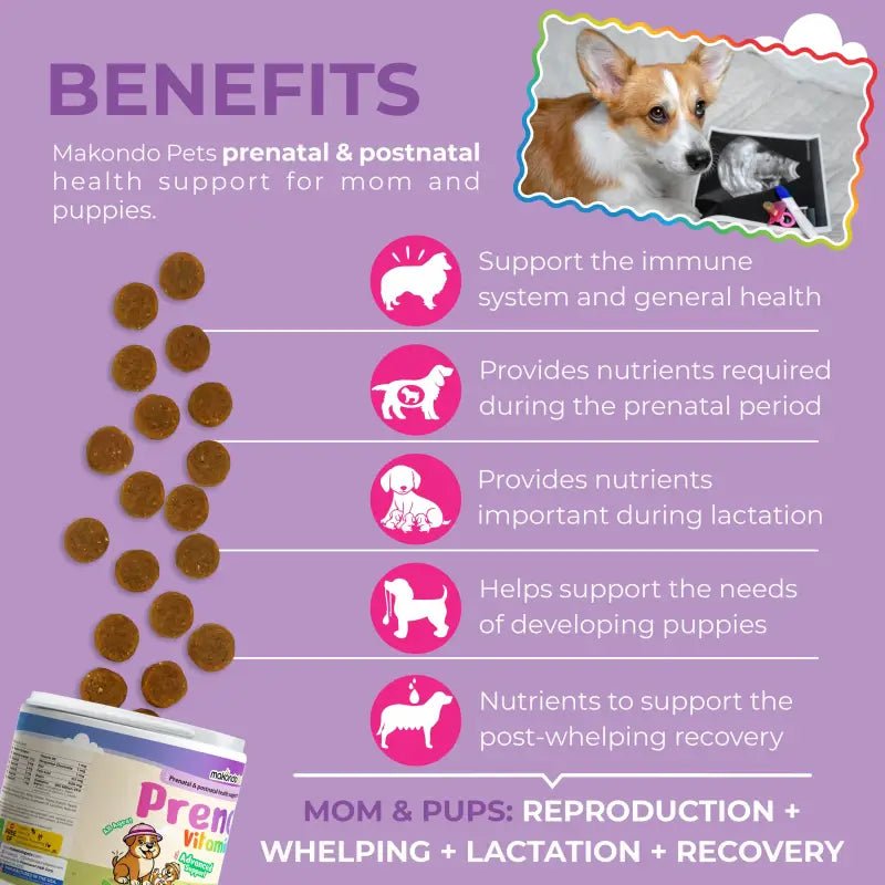 Dog Prenatal Vitamins - 120 Soft Chews Pet Vitamins & Supplements - Lazy Paper Club