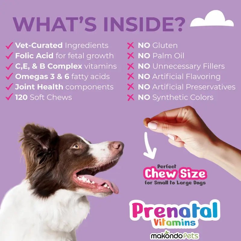 Dog Prenatal Vitamins - 120 Soft Chews Pet Vitamins & Supplements - Lazy Paper Club