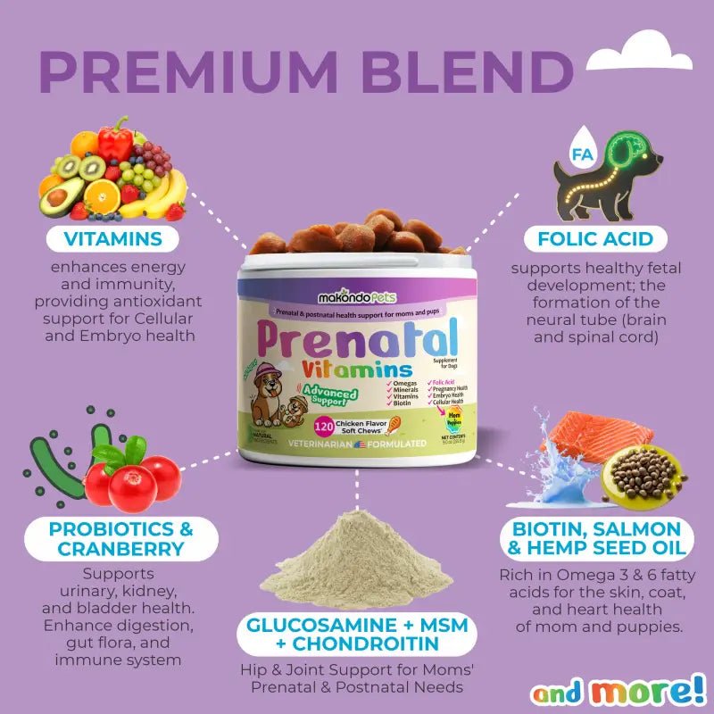Dog Prenatal Vitamins - 120 Soft Chews Pet Vitamins & Supplements - Lazy Paper Club