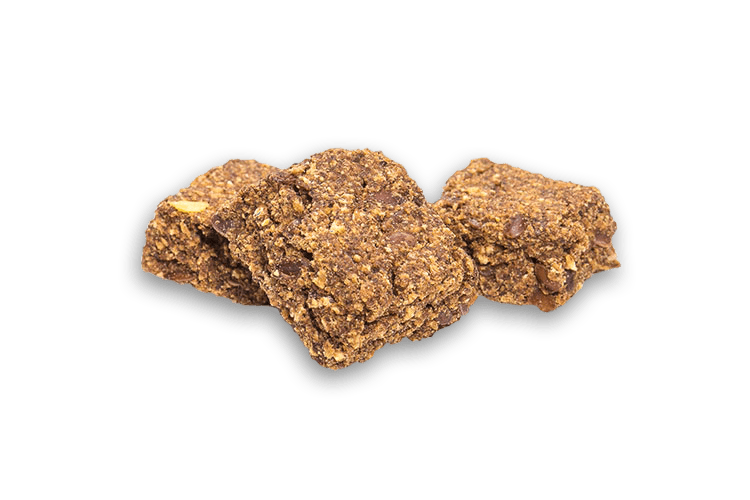 DogStar Liver Treats Canine Treats - Lazy Paper Club