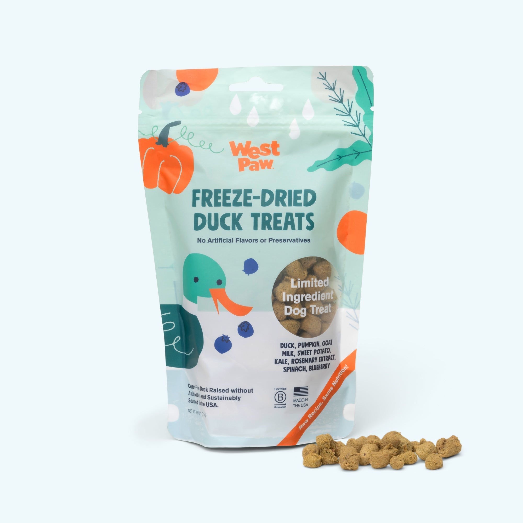 Duck with Superfood Treat - Lazy Paper Club