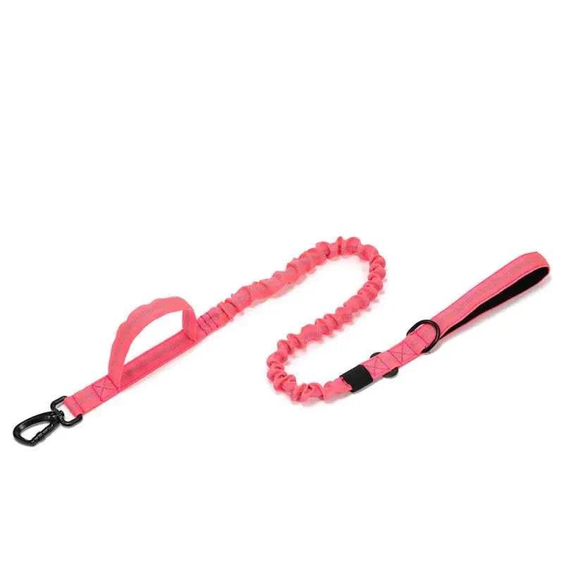 Durable Nylon Dog Collar with Reflective Leash Set - Lazy Paper Club