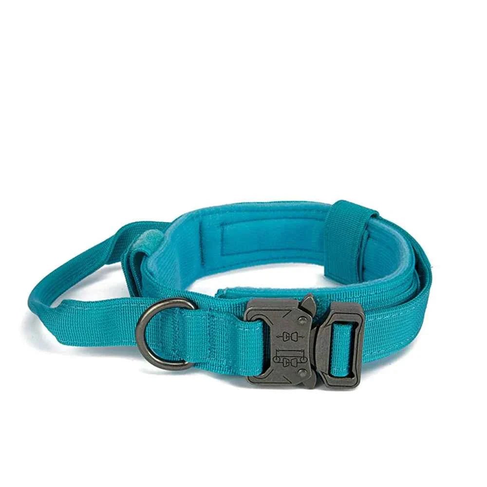 Durable Nylon Dog Collar with Reflective Leash Set - Lazy Paper Club