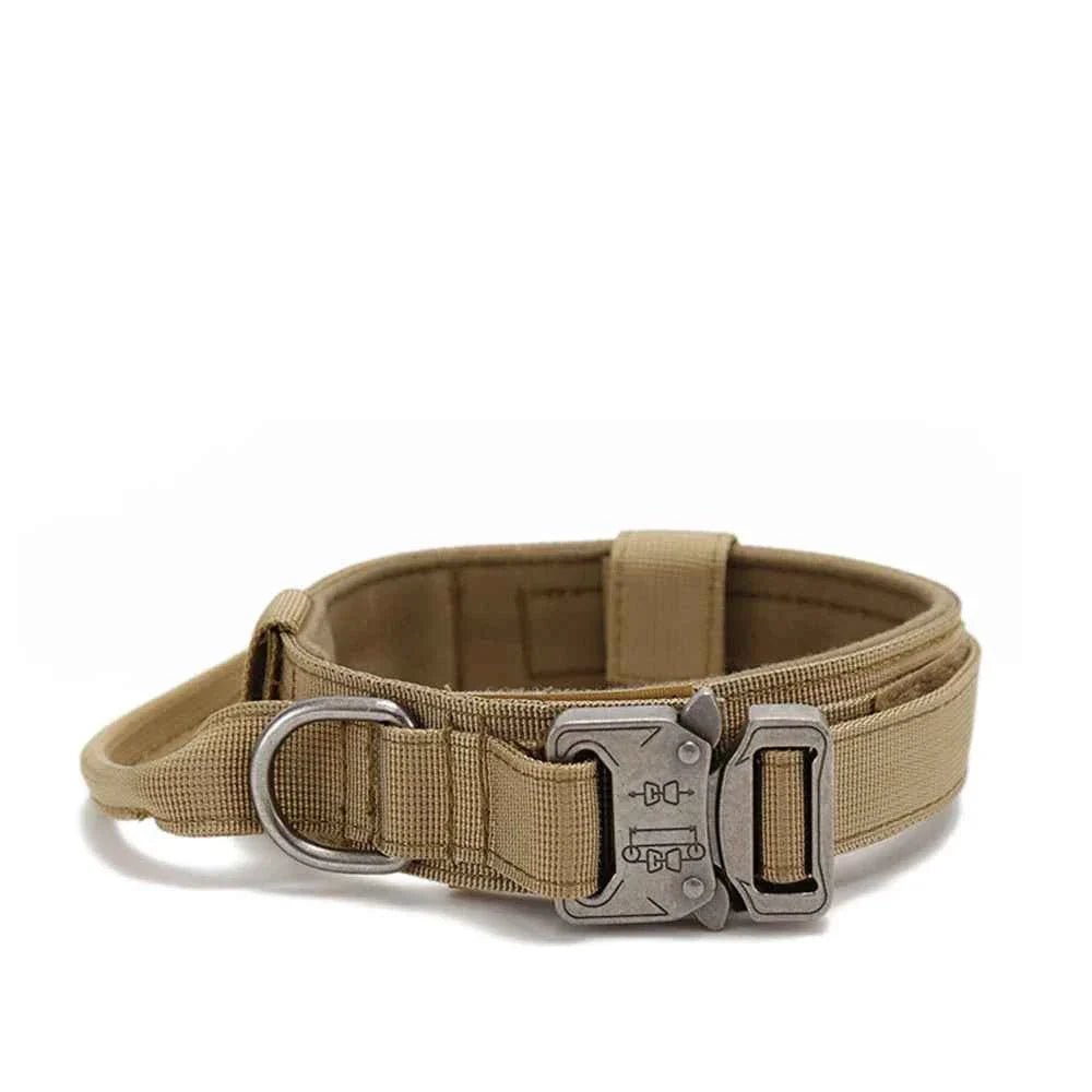 Durable Nylon Dog Collar with Reflective Leash Set - Lazy Paper Club