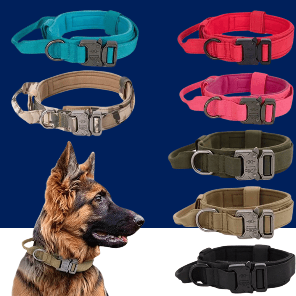 Durable Nylon Dog Collar with Reflective Leash Set - Lazy Paper Club