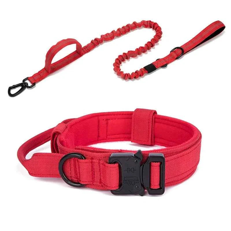 Durable Nylon Dog Collar with Reflective Leash Set - Lazy Paper Club