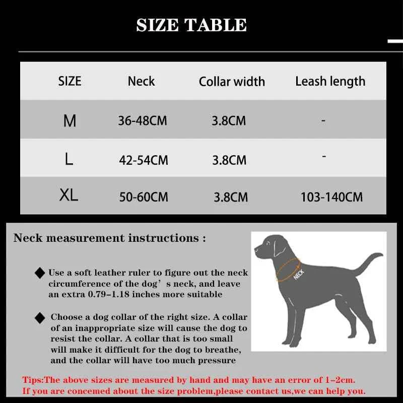 Durable Nylon Dog Collar with Reflective Leash Set - Lazy Paper Club