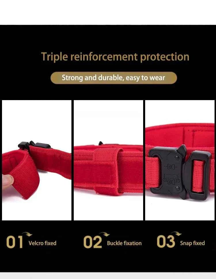Durable Nylon Dog Collar with Reflective Leash Set - Lazy Paper Club