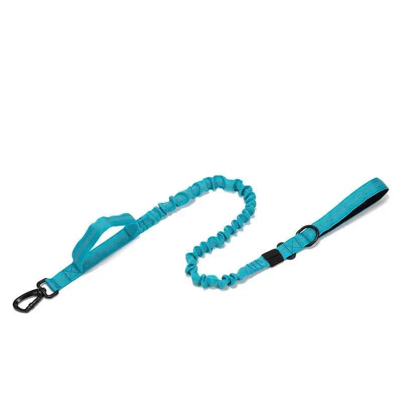Durable Nylon Dog Collar with Reflective Leash Set - Lazy Paper Club