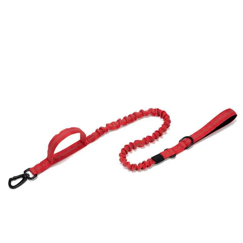 Durable Nylon Dog Collar with Reflective Leash Set - Lazy Paper Club
