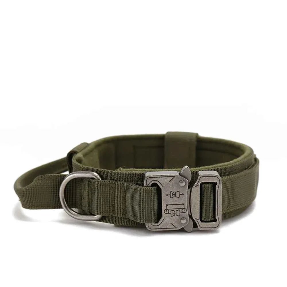 Durable Nylon Dog Collar with Reflective Leash Set - Lazy Paper Club