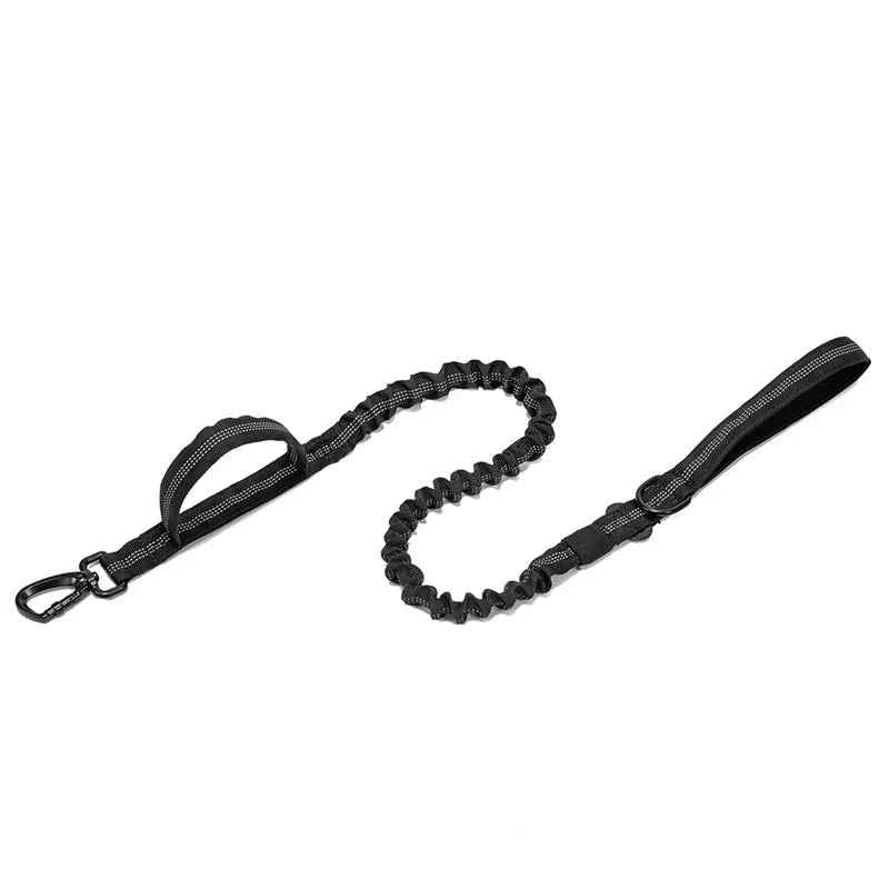 Durable Nylon Dog Collar with Reflective Leash Set - Lazy Paper Club