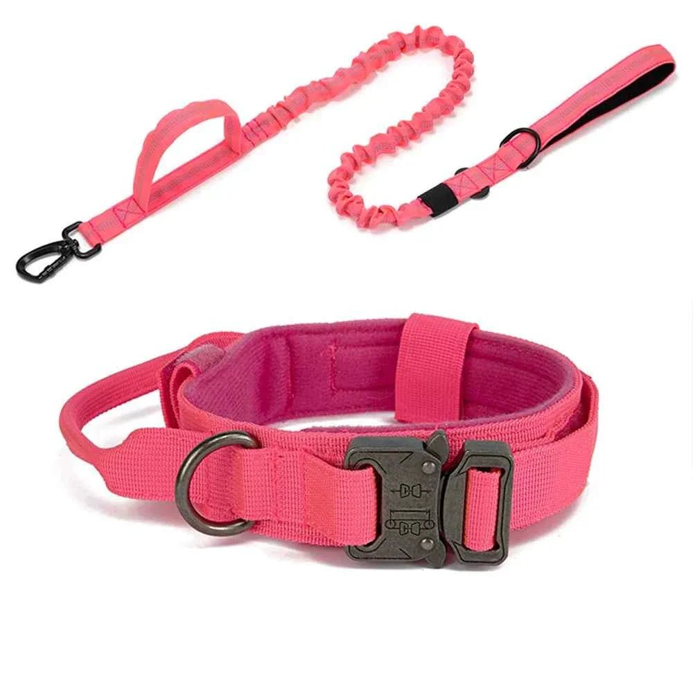 Durable Nylon Dog Collar with Reflective Leash Set - Lazy Paper Club