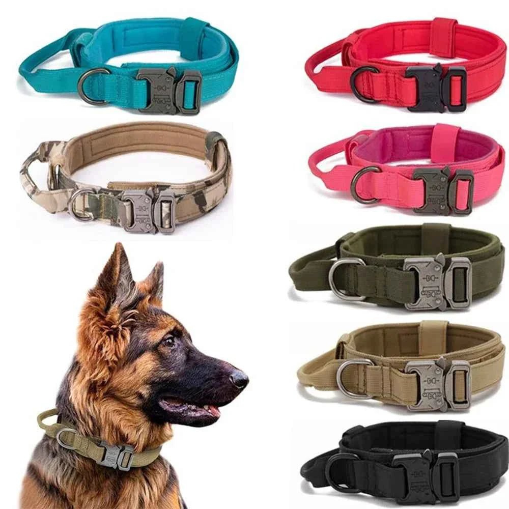 Durable Nylon Dog Collar with Reflective Leash Set - Lazy Paper Club