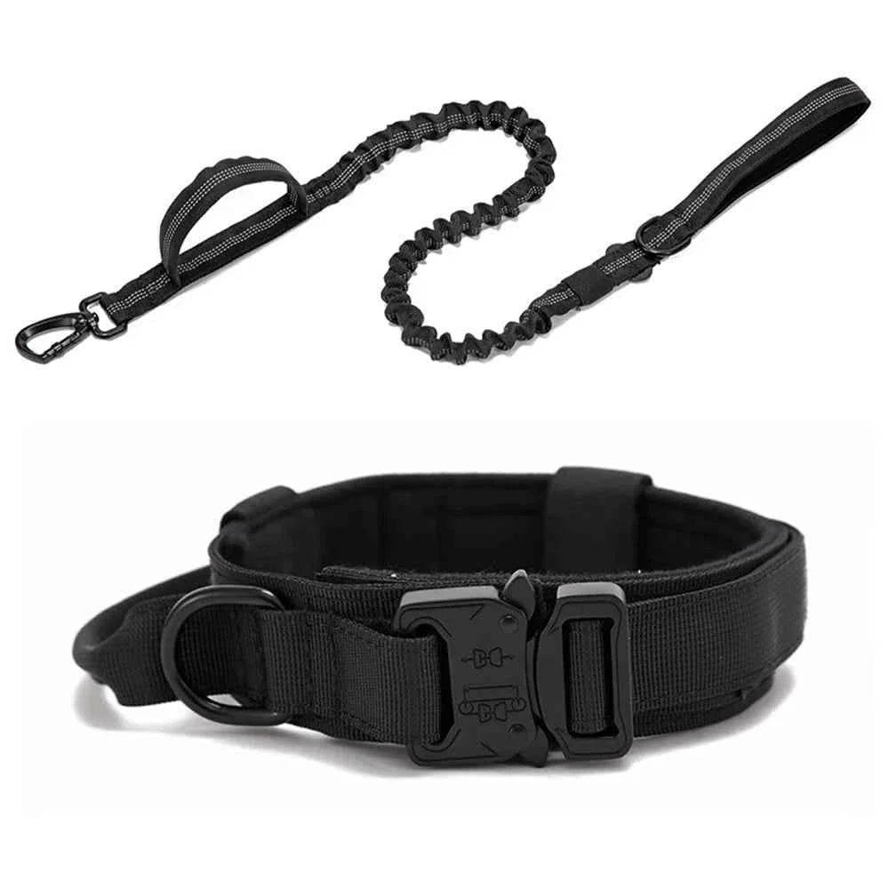 Durable Nylon Dog Collar with Reflective Leash Set - Lazy Paper Club
